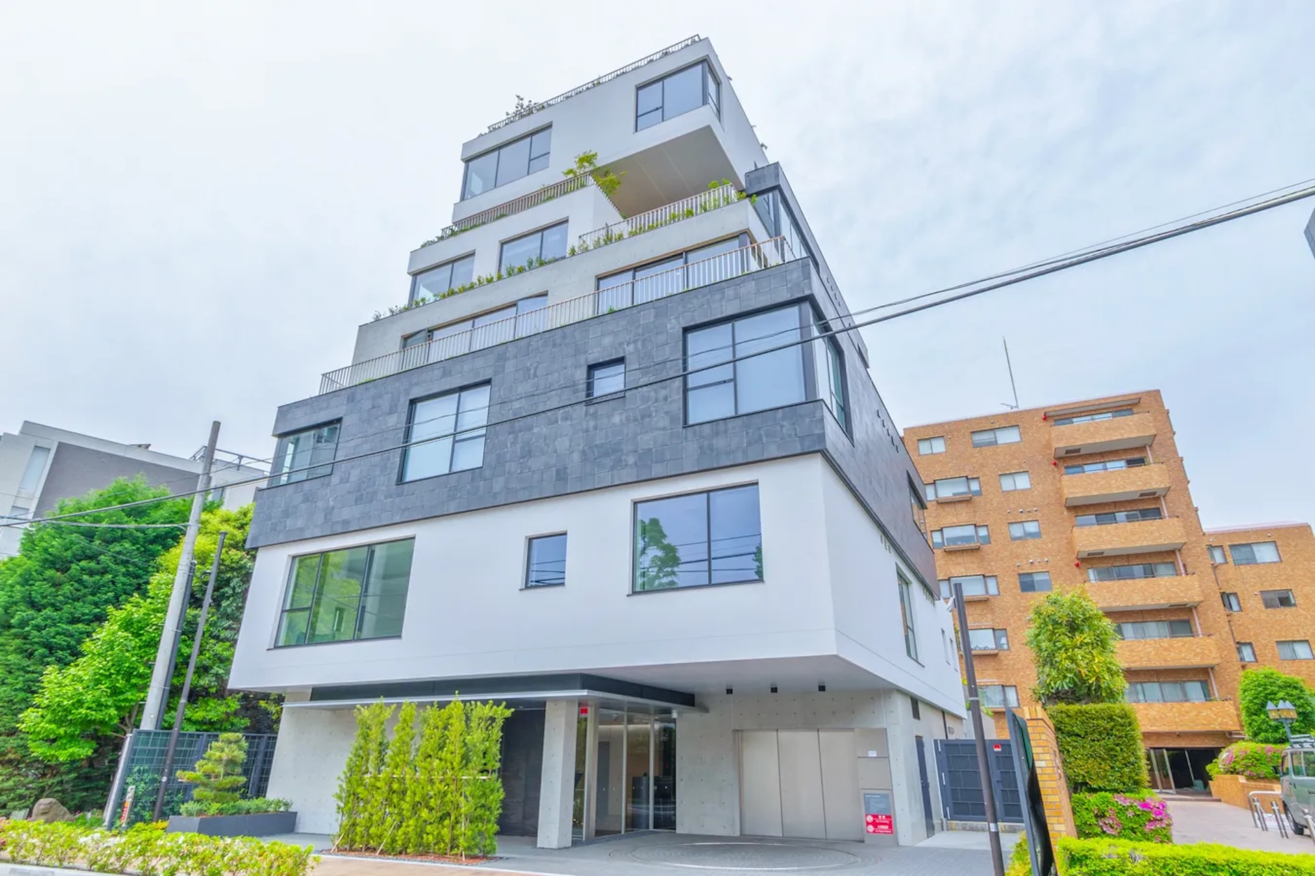 HILLPEAK TOKIWAMATSU