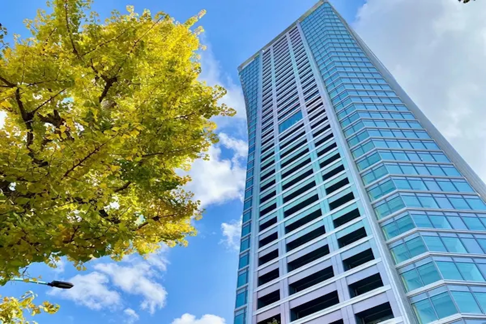 Park Court Shibuya The Tower 